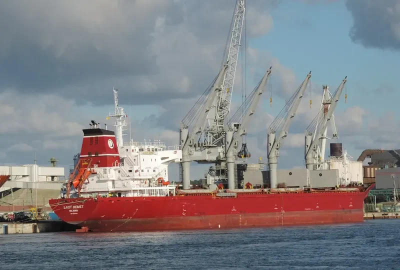 LADY DEMET Bulk Carrier IMO 9625592 photo 6