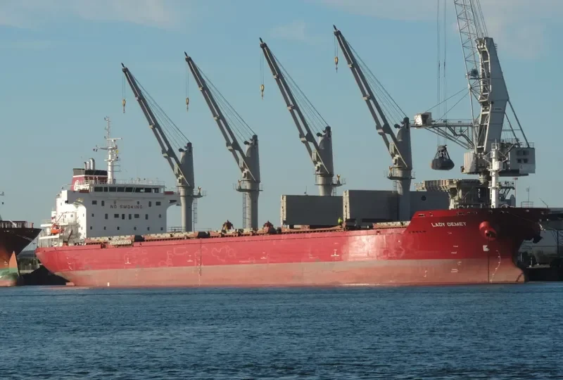 LADY DEMET Bulk Carrier IMO 9625592 photo 7