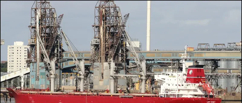 LADY DEMET Bulk Carrier IMO 9625592 photo 8