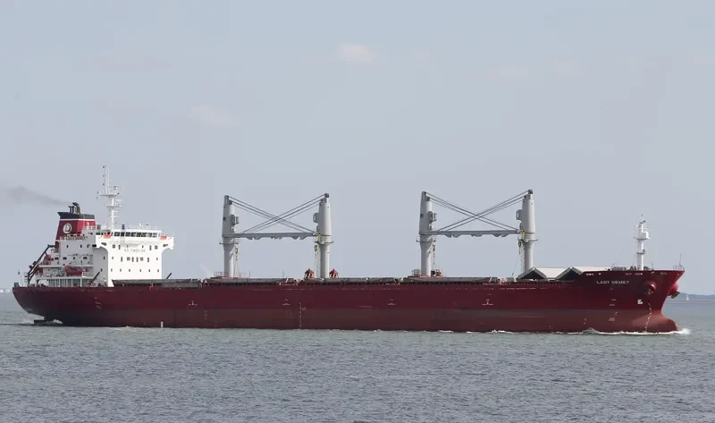 LADY DEMET Bulk Carrier IMO 9625592 photo 10