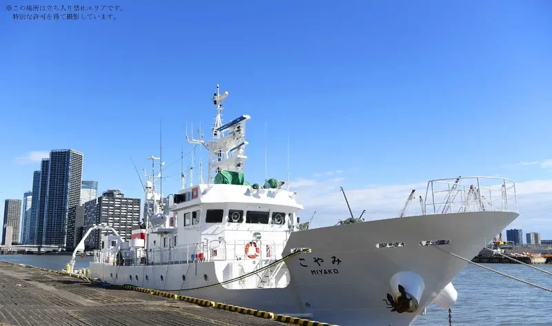 MIYAKO General Cargo IMO 9625619 photo 4
