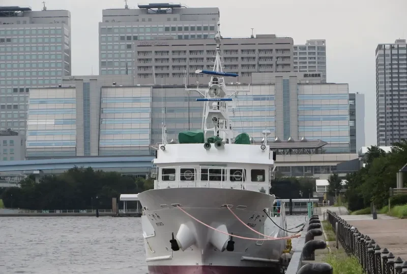 MIYAKO General Cargo IMO 9625619 photo 6