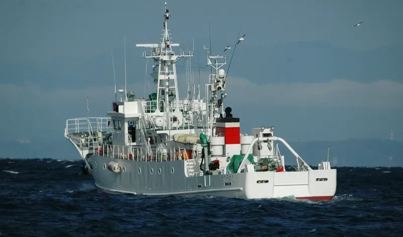 MIYAKO General Cargo IMO 9625619 photo 7