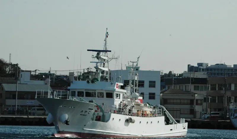 MIYAKO General Cargo IMO 9625619 photo 8