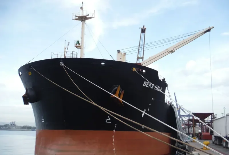 BEKS HALIL Bulk Carrier IMO 9625798 photo 3