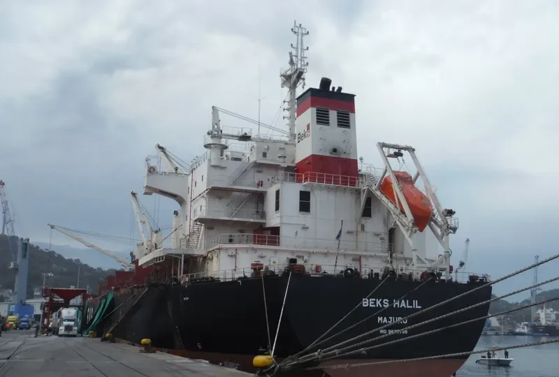 BEKS HALIL Bulk Carrier IMO 9625798 photo 4