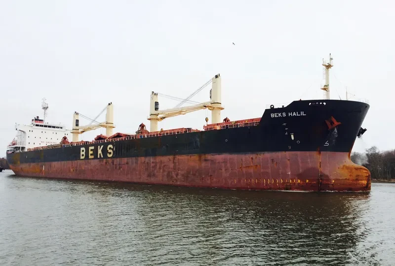 BEKS HALIL Bulk Carrier IMO 9625798 photo 5