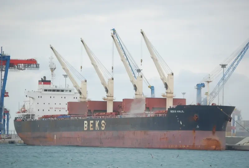 BEKS HALIL Bulk Carrier IMO 9625798 photo 6