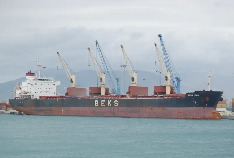 BEKS HALIL Bulk Carrier IMO 9625798 photo 7