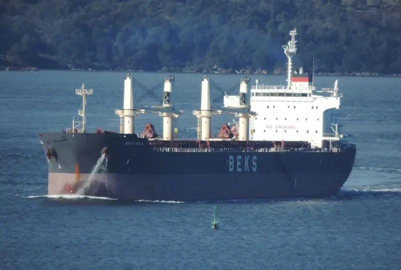 BEKS HALIL Bulk Carrier IMO 9625798 photo 8