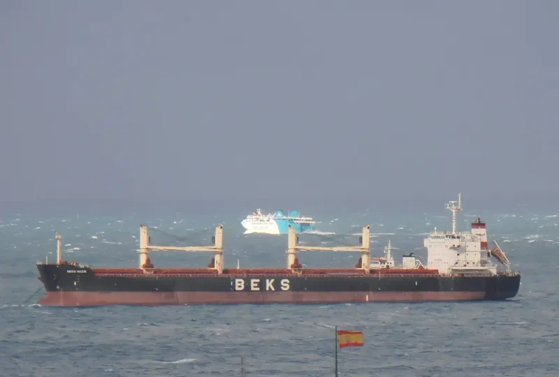 BEKS NAZIK Bulk Carrier IMO 9625803 photo 8
