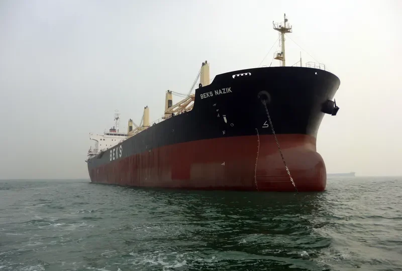 BEKS NAZIK Bulk Carrier IMO 9625803 photo 10