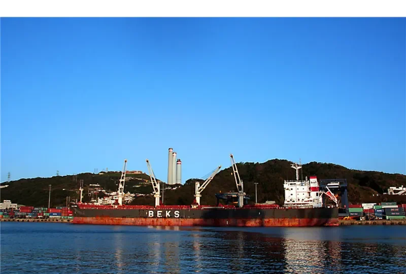 BEKS CENK Bulk Carrier IMO 9625815 photo 9