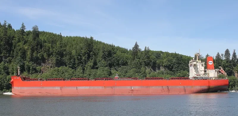 PAN TOPAZ Bulk Carrier IMO 9625827 photo 3