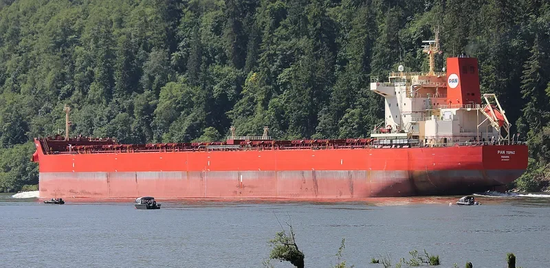PAN TOPAZ Bulk Carrier IMO 9625827 photo 4