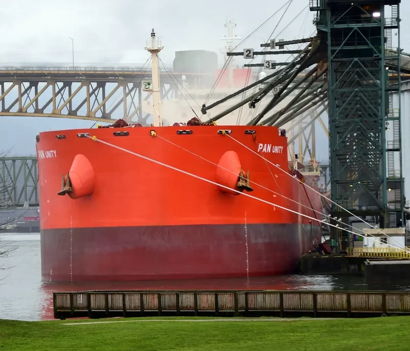 PAN UNITY Bulk Carrier IMO 9625839 photo 3