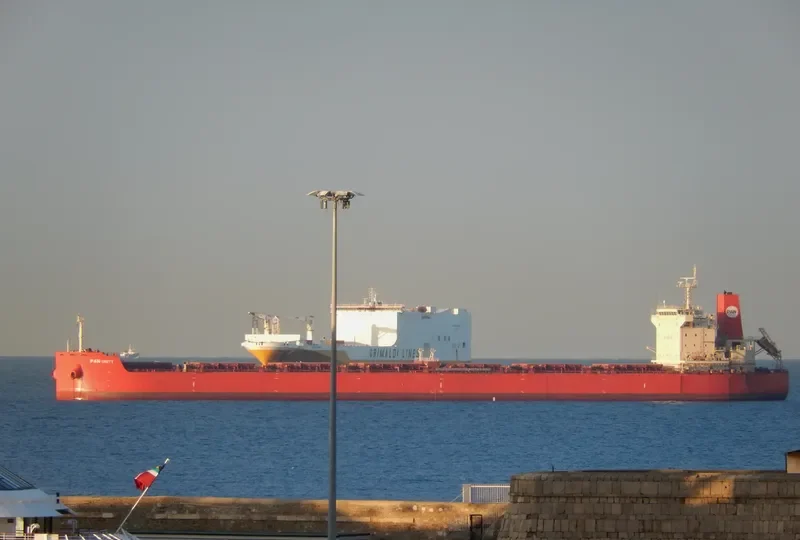 PAN UNITY Bulk Carrier IMO 9625839 photo 7