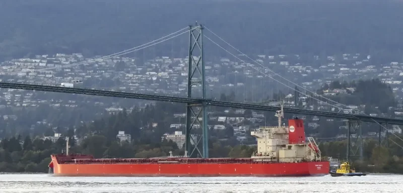 PAN UNITY Bulk Carrier IMO 9625839 photo 9