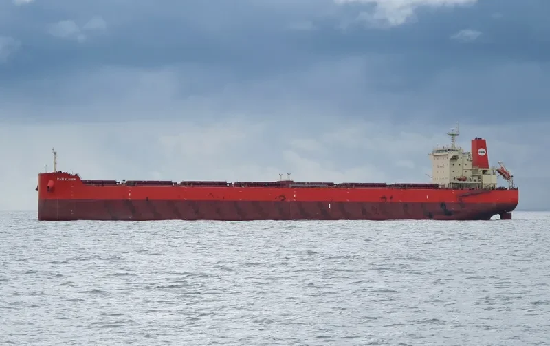 PAN FLOWER Bulk Carrier IMO 9625841