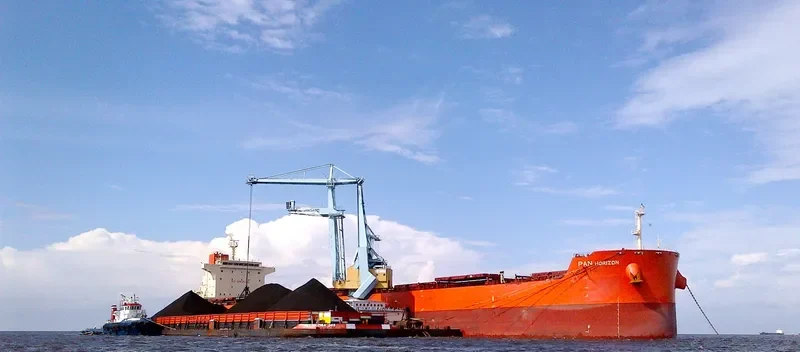PAN HORIZON Bulk Carrier IMO 9625865