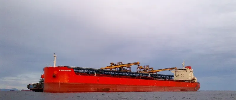 PAN HORIZON Bulk Carrier IMO 9625865 photo 3