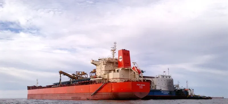 PAN HORIZON Bulk Carrier IMO 9625865 photo 4