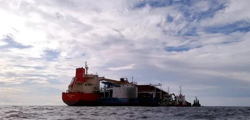 PAN HORIZON Bulk Carrier IMO 9625865 photo 5