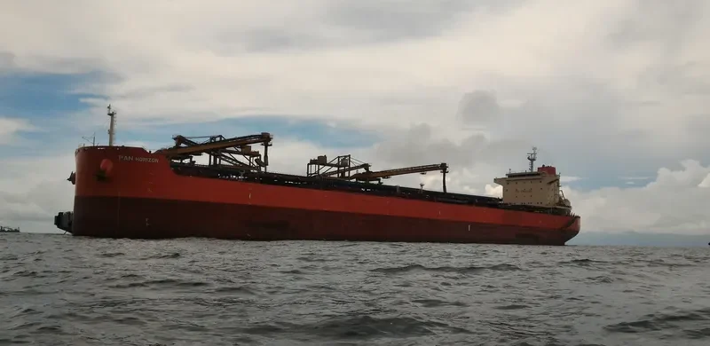 PAN HORIZON Bulk Carrier IMO 9625865 photo 7