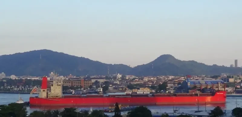 PAN HORIZON Bulk Carrier IMO 9625865 photo 8