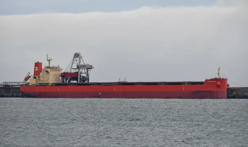 PAN HORIZON Bulk Carrier IMO 9625865 photo 10