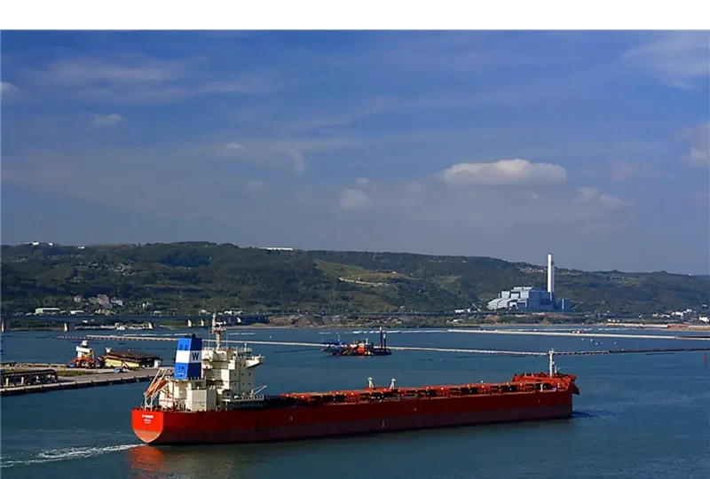 W SMASH Bulk Carrier IMO 9625877