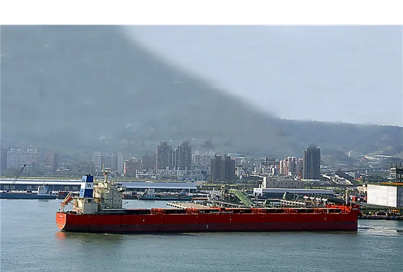 W SMASH Bulk Carrier IMO 9625877 photo 2