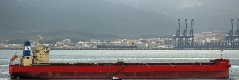 W SMASH Bulk Carrier IMO 9625877 photo 3