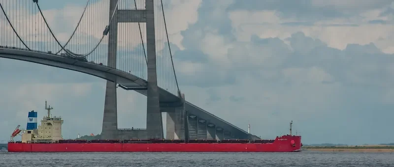 W SMASH Bulk Carrier IMO 9625877 photo 5
