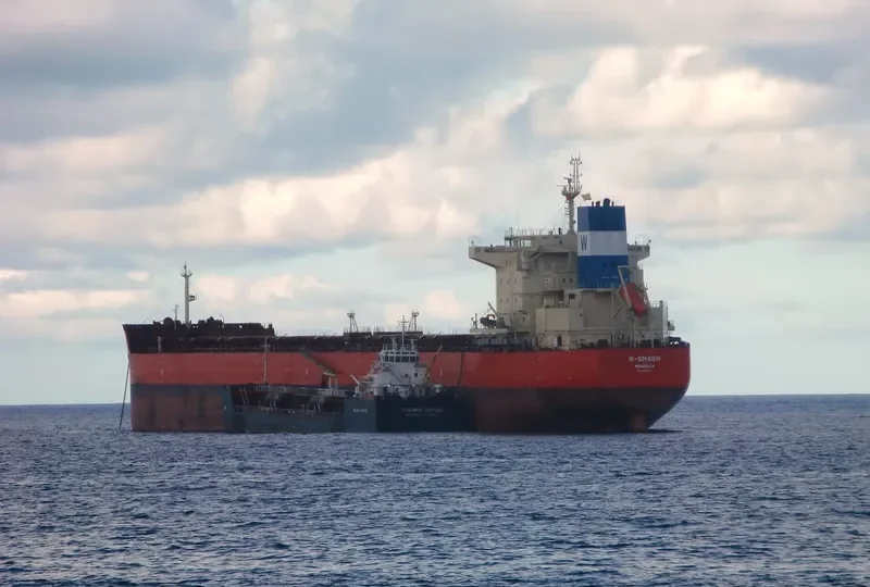 W SMASH Bulk Carrier IMO 9625877 photo 8