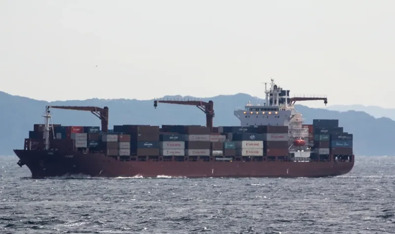 TZINI Container Ship IMO 9625906