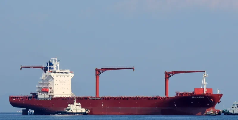 SEAMASTER Container Ship IMO 9625920 photo 2