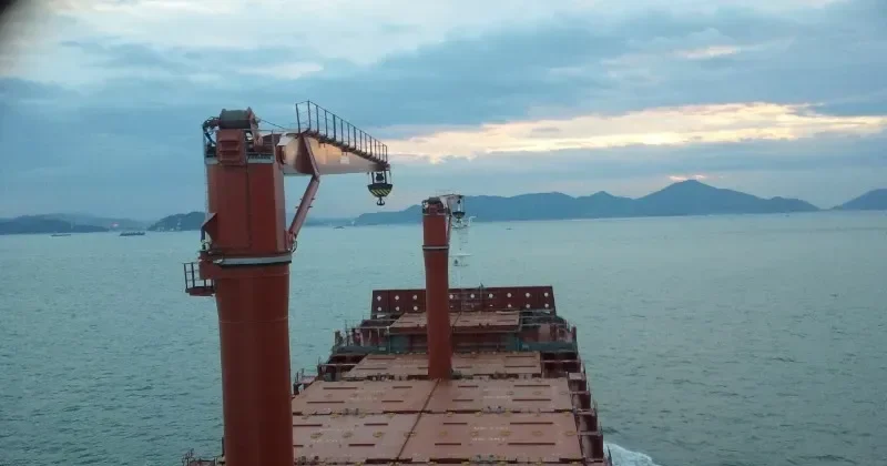SEAMASTER Container Ship IMO 9625920 photo 3