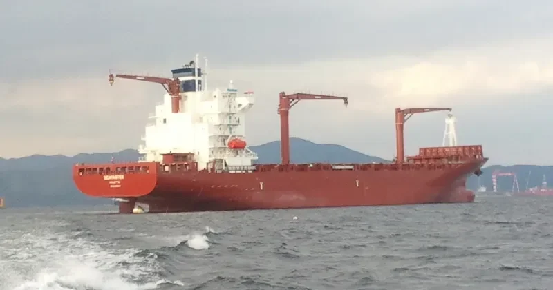 SEAMASTER Container Ship IMO 9625920 photo 4