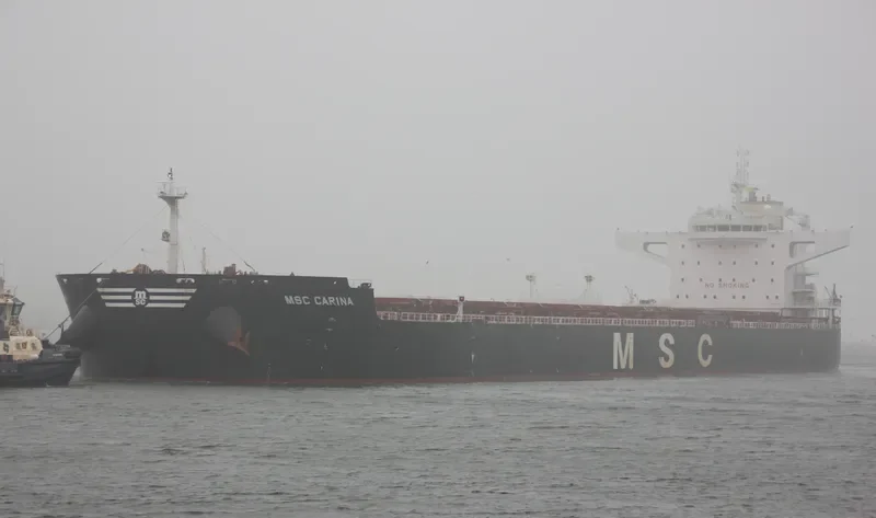 MSC CARINA Bulk Carrier IMO 9625944 photo 5