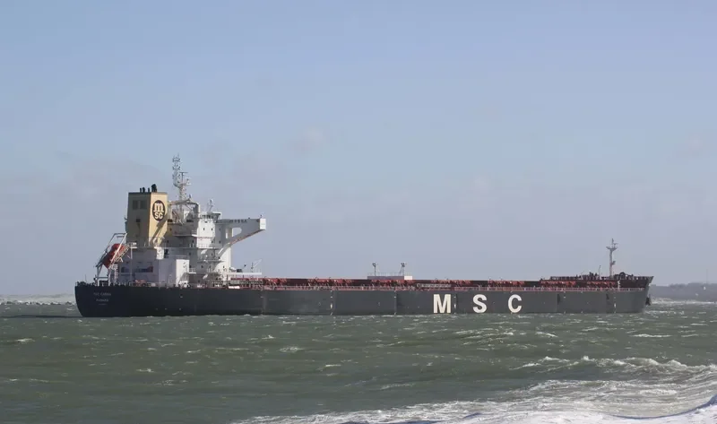 MSC CARINA Bulk Carrier IMO 9625944 photo 6