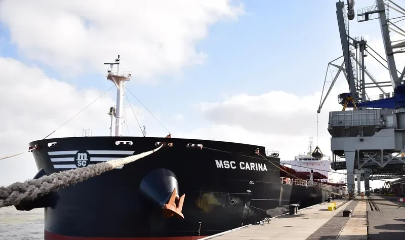 MSC CARINA Bulk Carrier IMO 9625944 photo 8