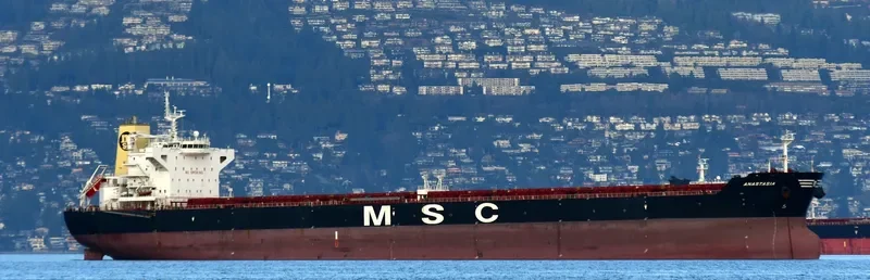 ANASTASIA Bulk Carrier IMO 9625970 photo 2
