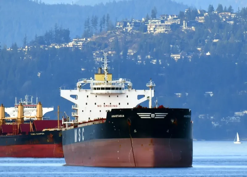 ANASTASIA Bulk Carrier IMO 9625970 photo 3