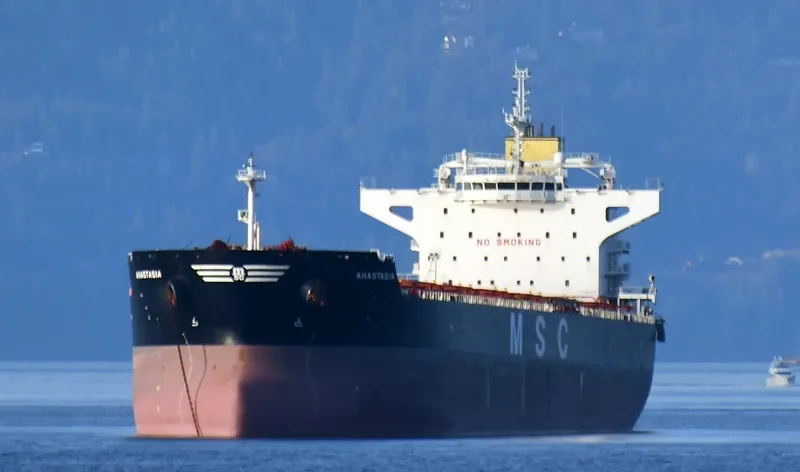ANASTASIA Bulk Carrier IMO 9625970 photo 4