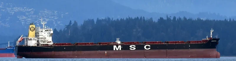ANASTASIA Bulk Carrier IMO 9625970 photo 5