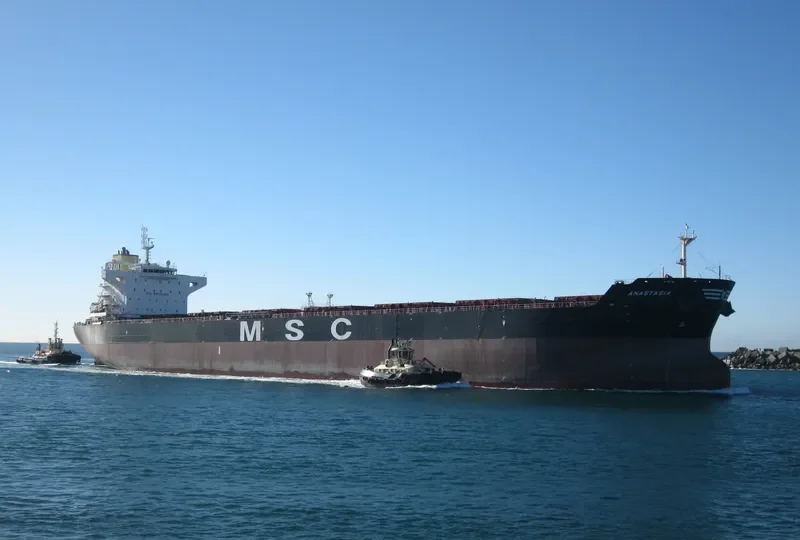 ANASTASIA Bulk Carrier IMO 9625970 photo 7