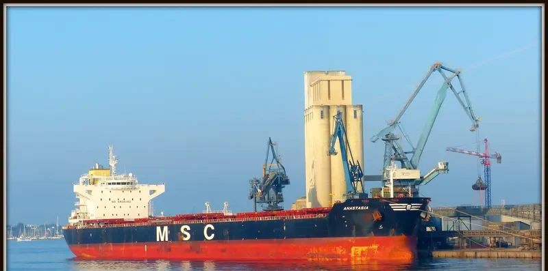 ANASTASIA Bulk Carrier IMO 9625970 photo 10