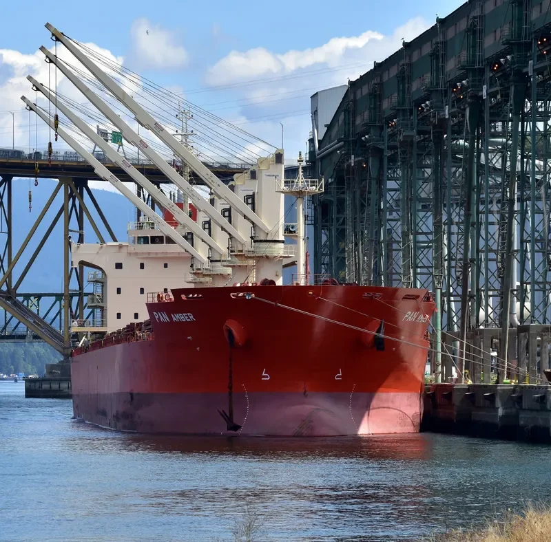 PAN AMBER Bulk Carrier IMO 9626003 photo 2