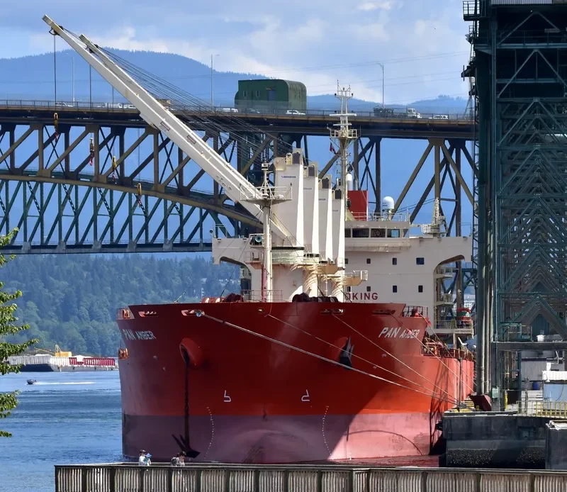 PAN AMBER Bulk Carrier IMO 9626003 photo 3